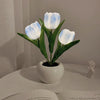 Bonsai Tulips Night light