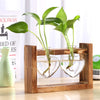 Buy Now Wooden Planter Online | Glass Modern Style | Modern Perspective