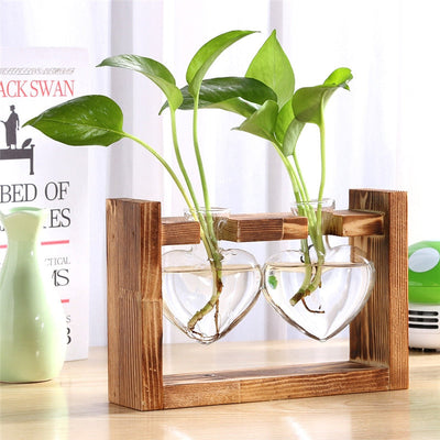 Buy Now Wooden Planter Online | Glass Modern Style | Modern Perspective