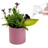 Plant Watering Funnel