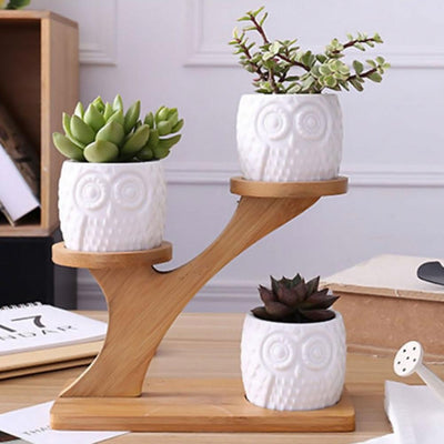 Ceramic Owl Pots & Bamboo wood Shelf